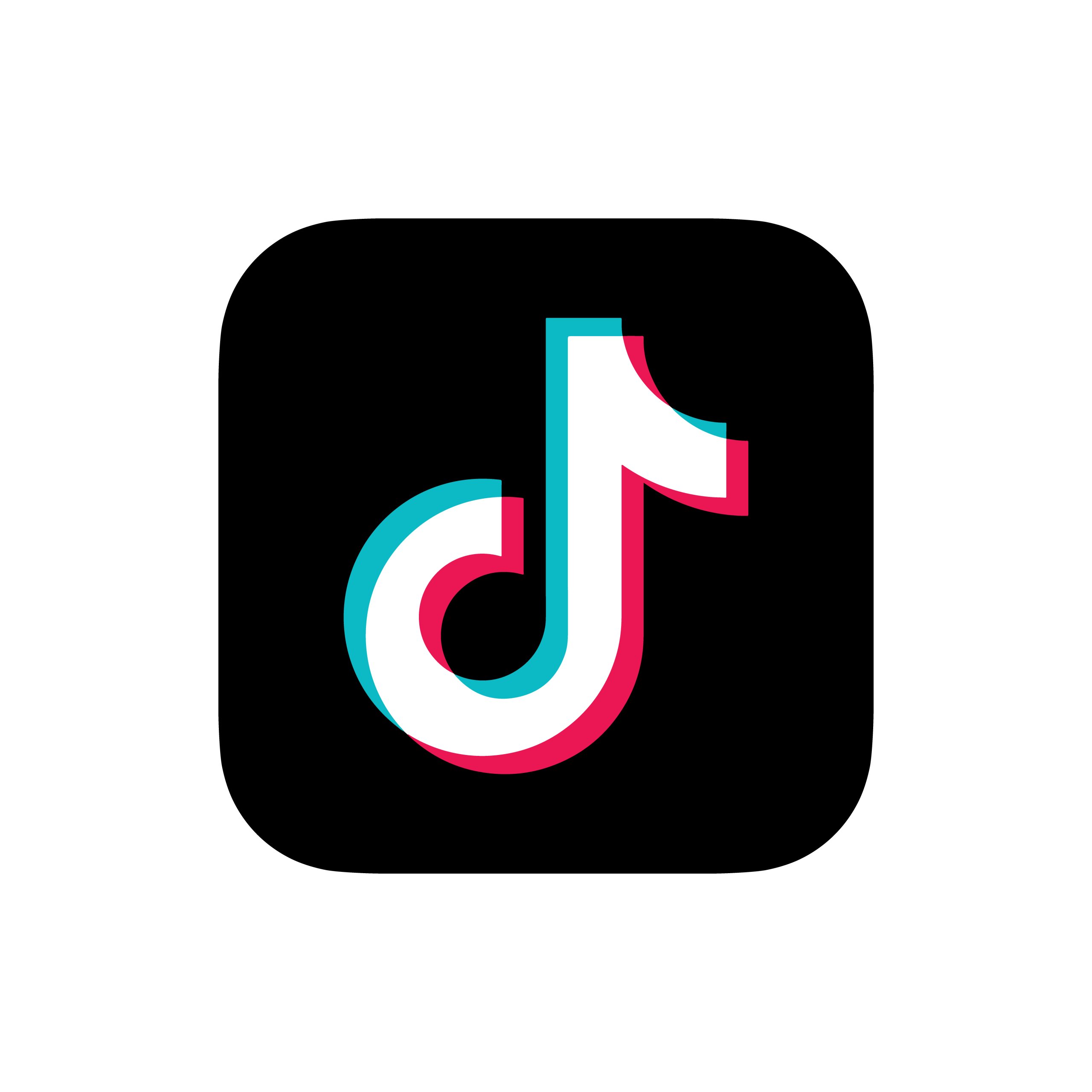 Tiktok Icon